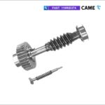 CAME 119RID374 Corona e vite senza fine FAST40 - FAST70 Ricambi Came FAST